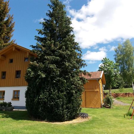 Lovely Holiday Home In Viechtach Near The Forest 외부 사진