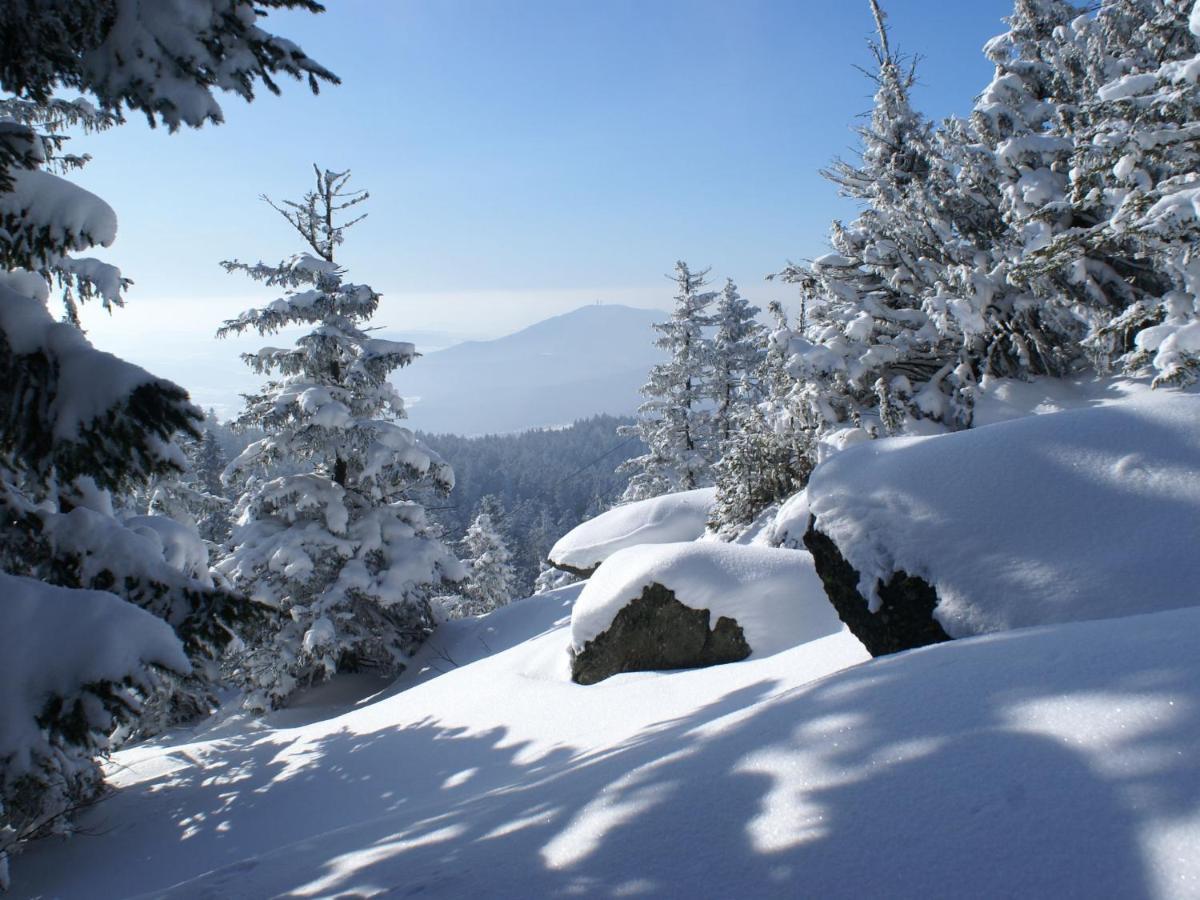Lovely Holiday Home In Viechtach Near The Forest 외부 사진